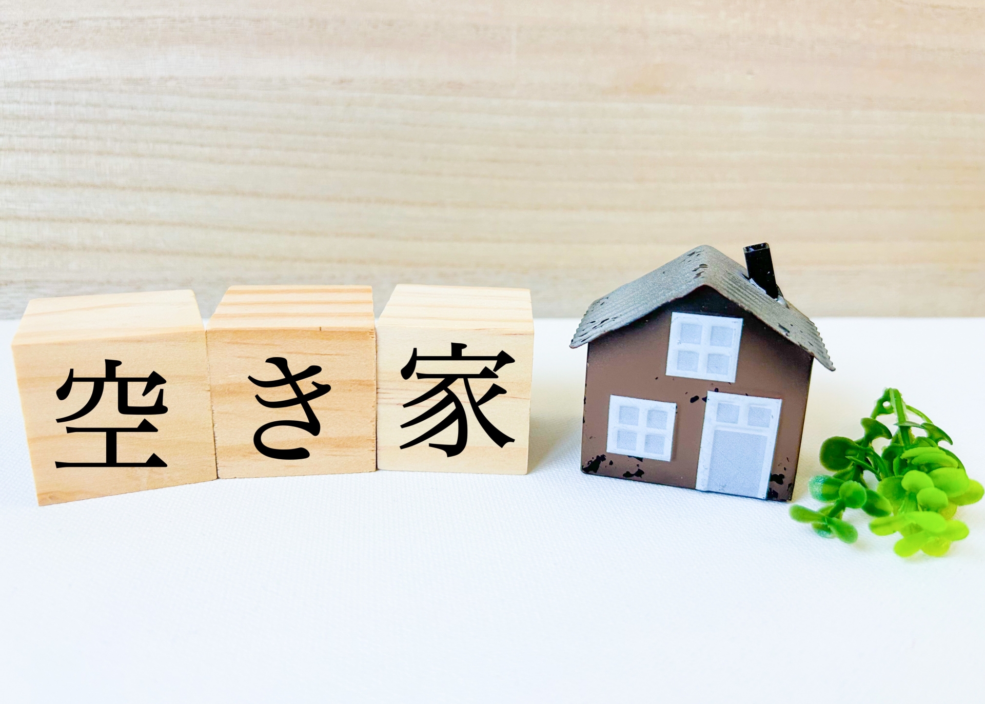 Office interior（オフィス内観）
