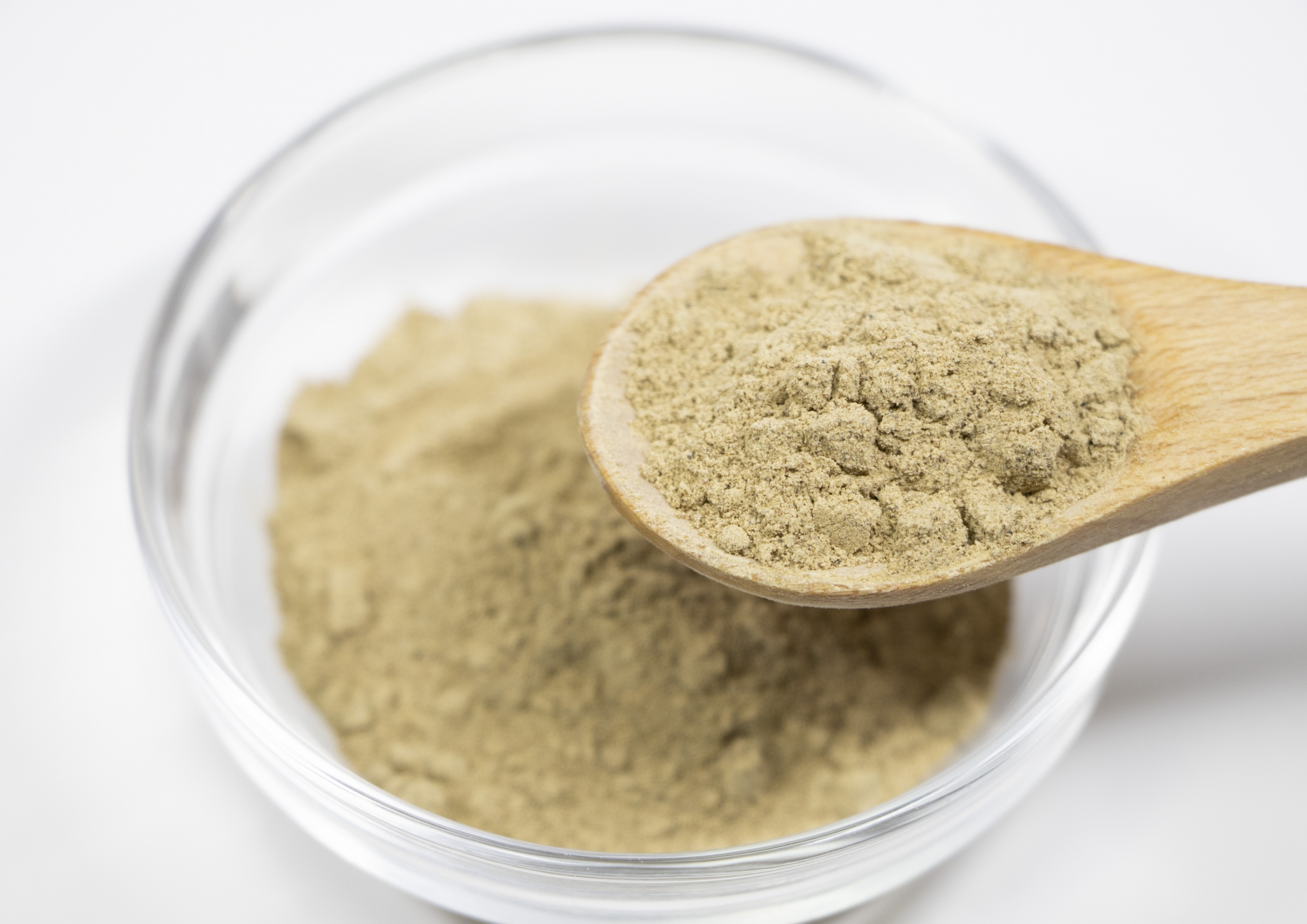 Green tea extract powder（緑茶抽出物粉末）